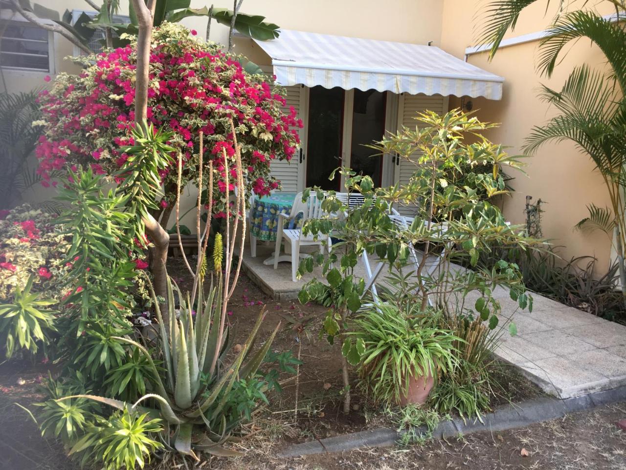 Ferienwohnung À Pied Dans L'Eau Saint-Gilles-les-Bains Exterior foto